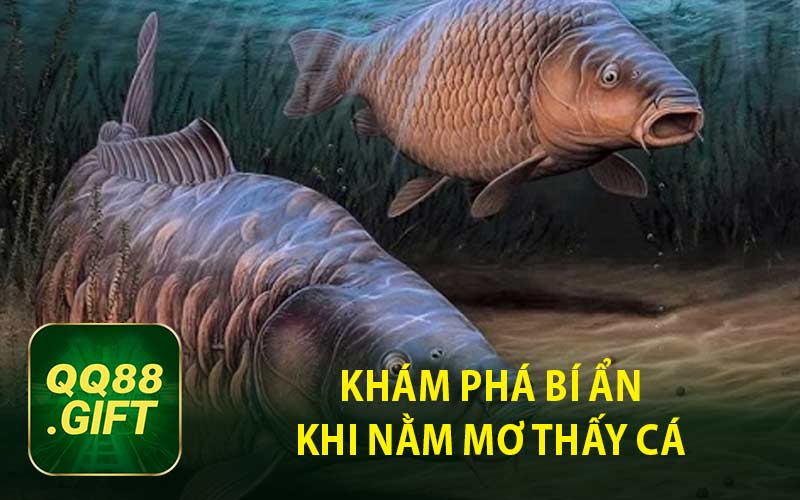 Khám Phá Bí Ẩn Khi Nằm Mơ Thấy Cá 