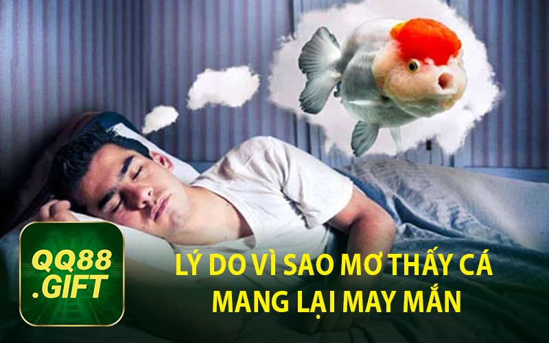 Lý Do Vì Sao Mơ Thấy Cá Mang Lại May Mắn